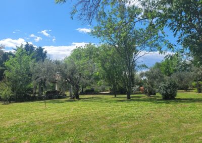 Jardin